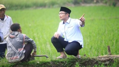 Andika Hazrumy, Calon Bupati Serang berbincang dengan petani. Foto: Budi Wahyu Iskandar