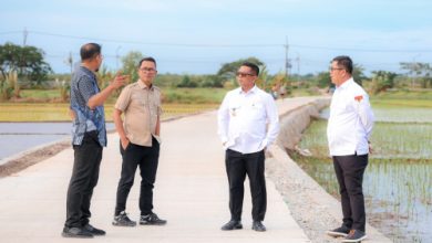Gubernur Banten, Andra Soni mencek jalan desa hasil program Bang Andra. Foto: Biro Adpim Banten