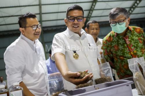 Gubernur Banten, Andra Soni soal pengelolaan sampah berbasis ekonomi sirkular. Foto Biro Adpim Banten