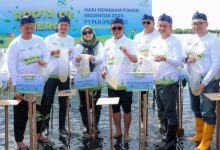Gubernur Banten, Andra Soni dalam penanaman mangrove di Tiratayas. Foto Biro Adpim Banten