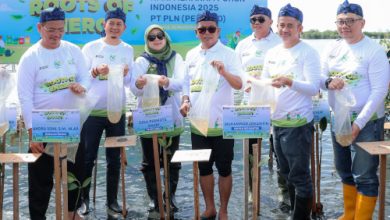 Gubernur Banten, Andra Soni dalam penanaman mangrove di Tiratayas. Foto Biro Adpim Banten