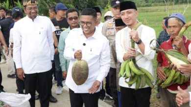 Gubernur Banten, Andra Soni saat meninjau jalan desa Luwuk - Grewel. Foto Biro Adpim Banten