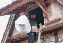 Gubernur Banten, Andra Soni ikuti acara ngimahkeun pare ka leuit adat di Kasepuhan Cisungsang. foto: Biro Adpim Banten