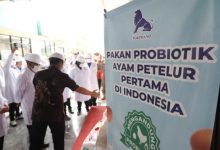 Gubernur Banten, Andra Soni bekunjung ke salah satu industri pakan ternak. Foto Biro Adpim Banten