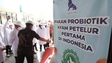 Gubernur Banten, Andra Soni bekunjung ke salah satu industri pakan ternak. Foto Biro Adpim Banten