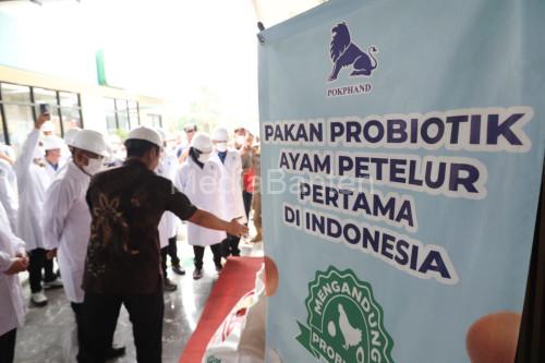 Gubernur Banten, Andra Soni bekunjung ke salah satu industri pakan ternak. Foto Biro Adpim Banten