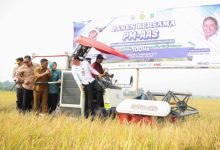 Gubernur Banten, Andra Soni dan Wali Kota Serang, Buri Rustandi meninjau sitsem pertanian modern di Kasunyatan. Foto Biro Adpim Banten