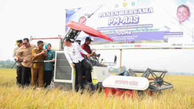 Gubernur Banten, Andra Soni dan Wali Kota Serang, Buri Rustandi meninjau sitsem pertanian modern di Kasunyatan. Foto Biro Adpim Banten