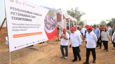 Gubernur Banten, Andra Soni dan Gubernur Jakarta Pramono Anung meninjau lokasi. Foto Biro Adpim Pemprov Banten
