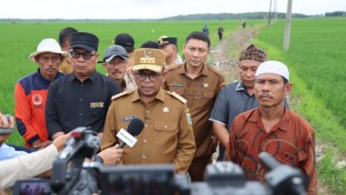 Andra Soni, Gubernur Banten meninjau lokasi JUT Wanasalam. Foto: Biro Adpim Banten
