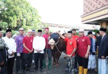 Gubernur Banten, Andra Soni menyerahkan sapi kurban Presiden RI, Prabowo Subianto. Foto Biro Adpim Banten