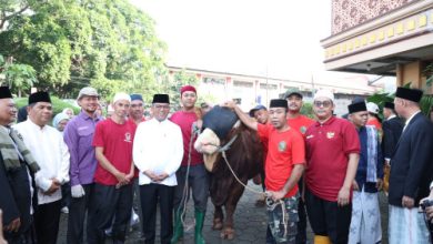 Gubernur Banten, Andra Soni menyerahkan sapi kurban Presiden RI, Prabowo Subianto. Foto Biro Adpim Banten