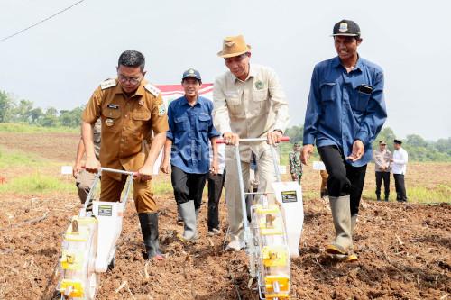 Gubernur Banten, Andra Soni mencanngkan gerakan menanam jagung. Foto Biiro Adpim Banten