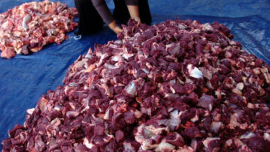 Daging Kurban Idul Adha. Foto: LKBN Antara
