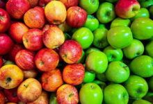 Apel Hijau dan Apel Merah. Foto: Istimewa