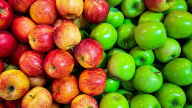 Apel Hijau dan Apel Merah. Foto: Istimewa