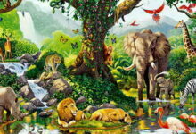 money politik dan kebun binatang