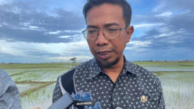 Arlan Marzan, Kepala DPUPR Provinsi Banten. Foto Biro Adpim Banten