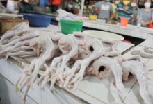 Ilustrasi ayam potong. Foto: BeritaJakarta