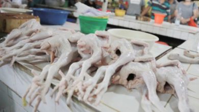 Ilustrasi ayam potong. Foto: BeritaJakarta