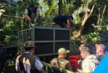 Dokter hewan dari Taman Safari Bogor untuk konservasi Badak Jawa. Foto: Antara