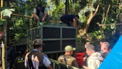 Dokter hewan dari Taman Safari Bogor untuk konservasi Badak Jawa. Foto: Antara