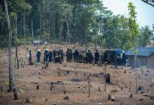 Masyarkat Baduy mulai tanam padi gogo di huma. Foto: Antara