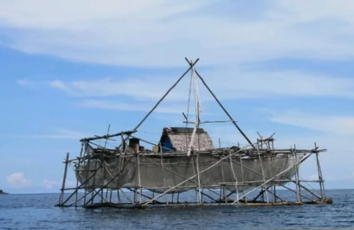 Bagan Perikanan Tancap. Foto Antara