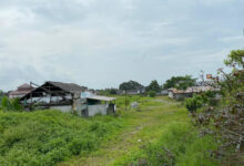 Balajara City Square yang mangkrak, ditumbuhi semak belukar. Foto: Iqbal Kurnia
