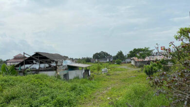 Balajara City Square yang mangkrak, ditumbuhi semak belukar. Foto: Iqbal Kurnia
