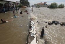 Banjir Rob di Jakarta Utara. Foto: Mangrove Jakarta