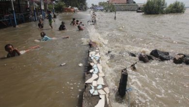 Banjir Rob di Jakarta Utara. Foto: Mangrove Jakarta