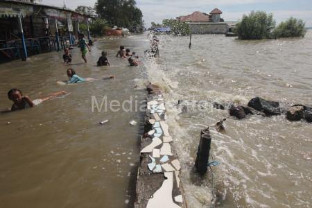 Banjir Rob di Jakarta Utara. Foto: Mangrove Jakarta