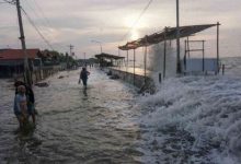 ilustrasi banjir rob. foto: Istimewa