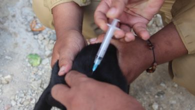 Penanganan kasus rabies di Banten. Foto Biro Adpim Banten