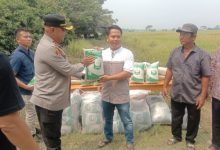 Kapolres Serang, AKBP Condro Sasongko serahkan bantuan bibit padi. Foto: Yono