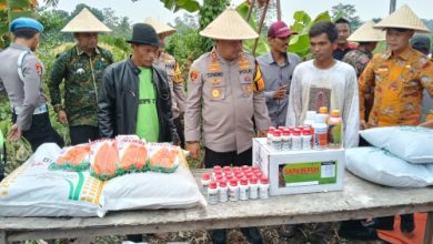 Kapolres Serang, AKBP Condro Sasongko member bantuan bibit jagung, pupuk untuk Gapoktan Budi Makmur di Kopo. Foto: Yono