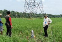 Penyaluran bantuan pompanisasi di Lebak. Foto: Antara