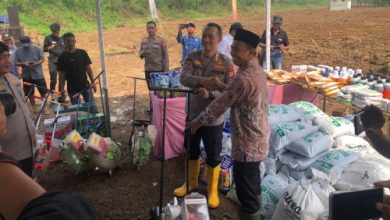 Bantuan bibit jagung BISI, NPK dan urea dari Polres Serang dan Biro SDM Polda Banten untuk Bumdes Cijeruk. Foto: Yono