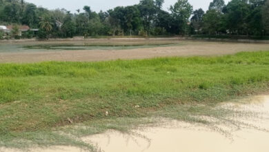 Bendungan Cijoro di Rangkasbitun, Kabupaten Lebak kekeringan. Foto: Antara