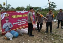 Kapolres Serang, AKBP Condro Sasongko tebar benih ikan. Foto: Yono