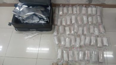 Barang bukti benih lobster di Bandar Soetta. Foto Antara