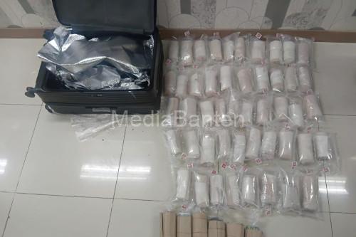 Barang bukti benih lobster di Bandar Soetta. Foto Antara