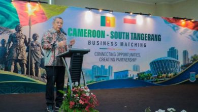 Wali Kota Tangerang Selatan, Benyamin Davnie dalam pertemuan dengan Delegasi Kamerun. Foto Antara