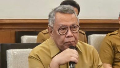 Benyamin Davnie, Walikota Tangerang Selatan. Foto: Antara