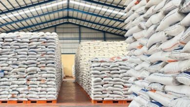 Beras cadangan pemerintah yang ada di Perum Bulog. Foto: Antara