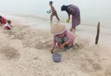 Berburu kerang remis merupakan tradisi warga pesisir Panimbang. Foto: LKBN Antara