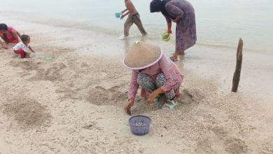 Berburu kerang remis merupakan tradisi warga pesisir Panimbang. Foto: LKBN Antara