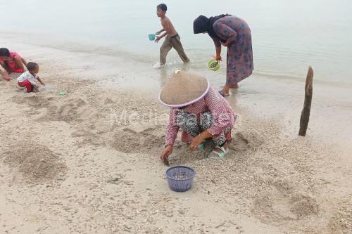 Berburu kerang remis merupakan tradisi warga pesisir Panimbang. Foto: LKBN Antara