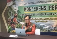 Berton SP Panjaitan, Kepala Pusdatin Komunikasi Kebencanaan BNPB. Foto Antara
